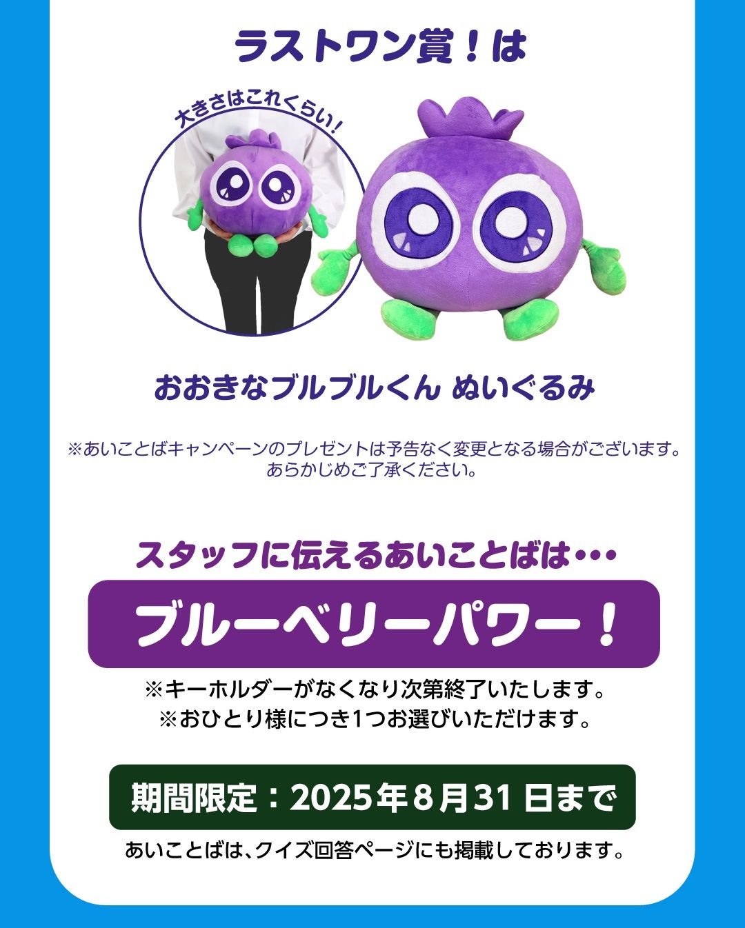 ラストワン賞！「おおきなブルブルくん ぬいぐるみ」あいことばは…ブルーベリーパワー！【期間限定：2025年8月31日まで】