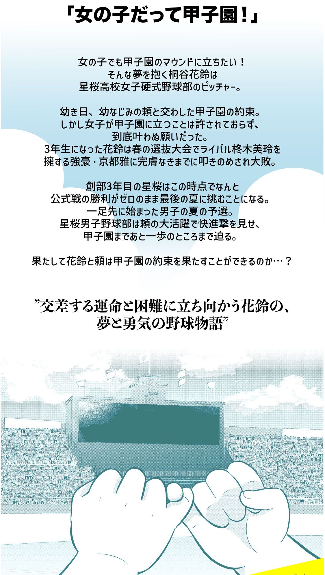 女の子だって甲子園！
