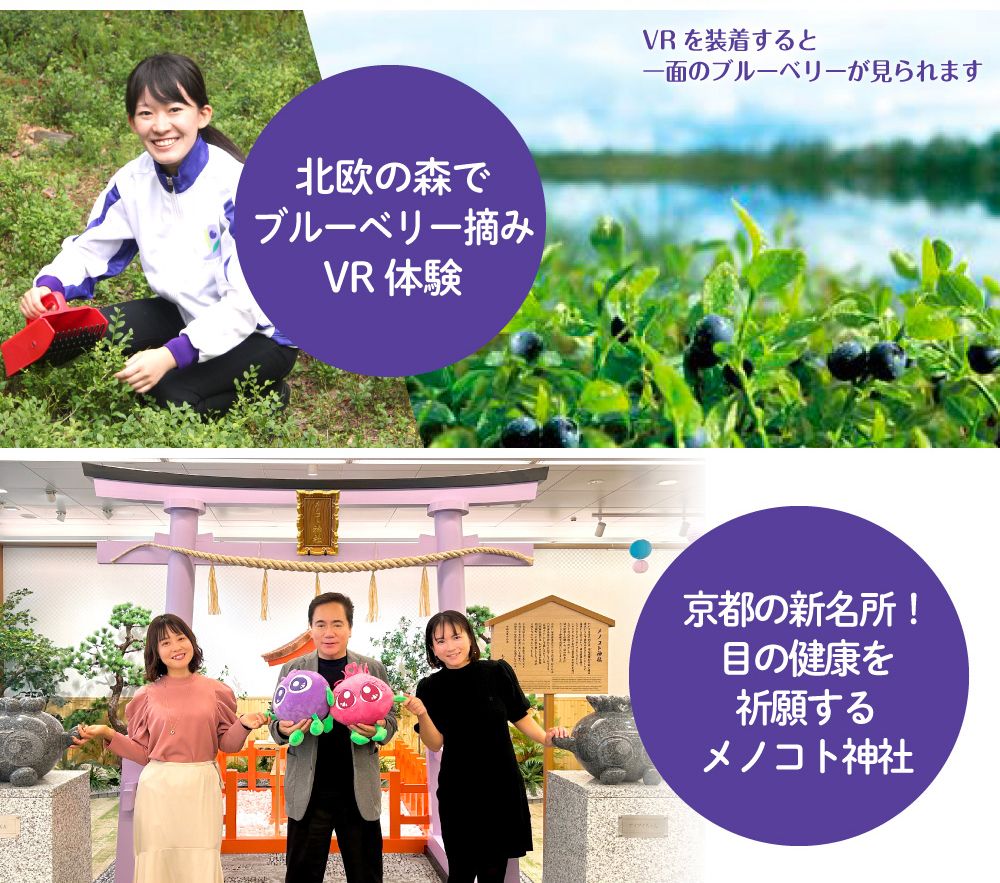 北欧の森でブルーベリー摘みＶＲ体験。京都の新名所！目の健康を祈願するメノコト神社