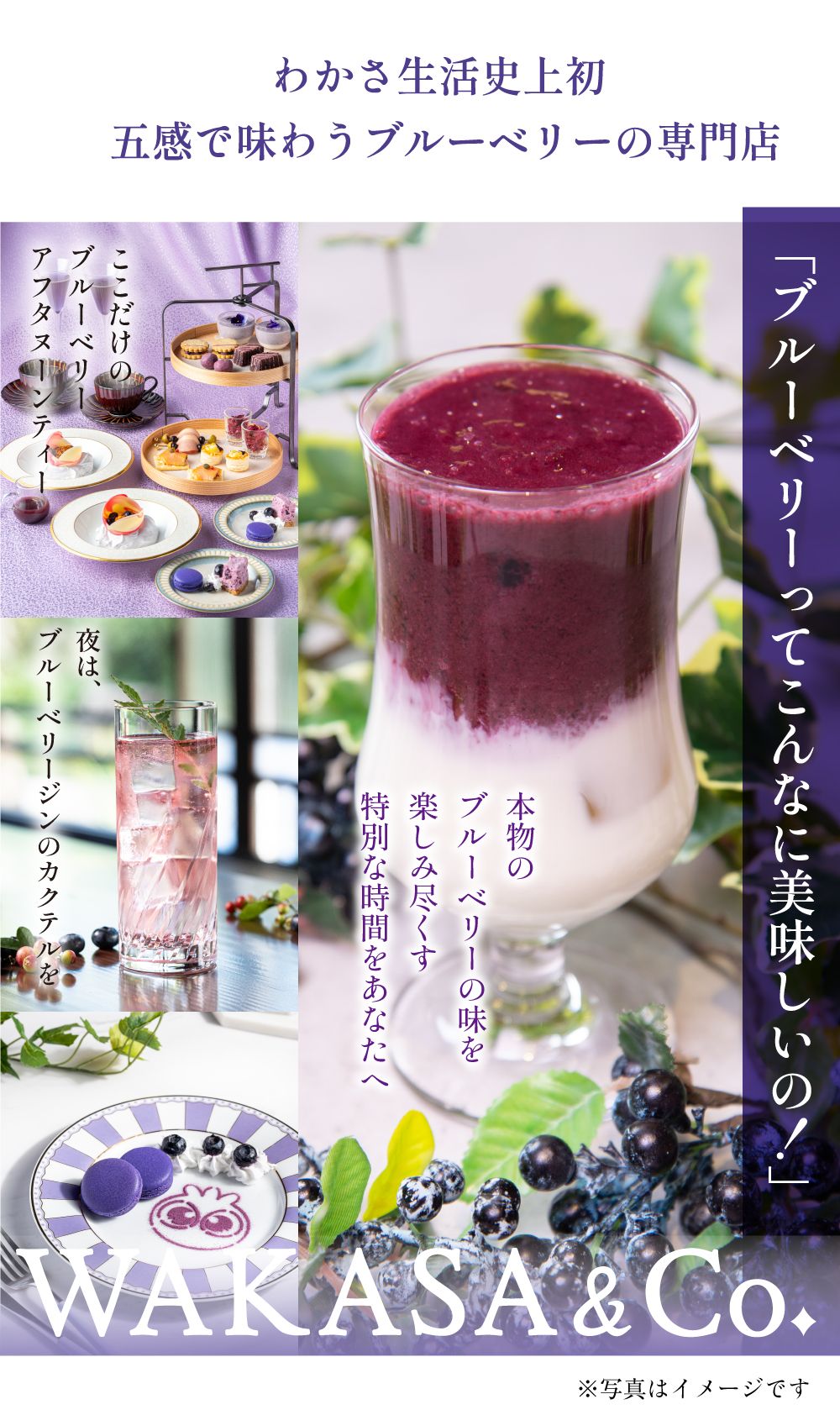 わかさ生活史上初。五感で味わうブルーベリーの専門店