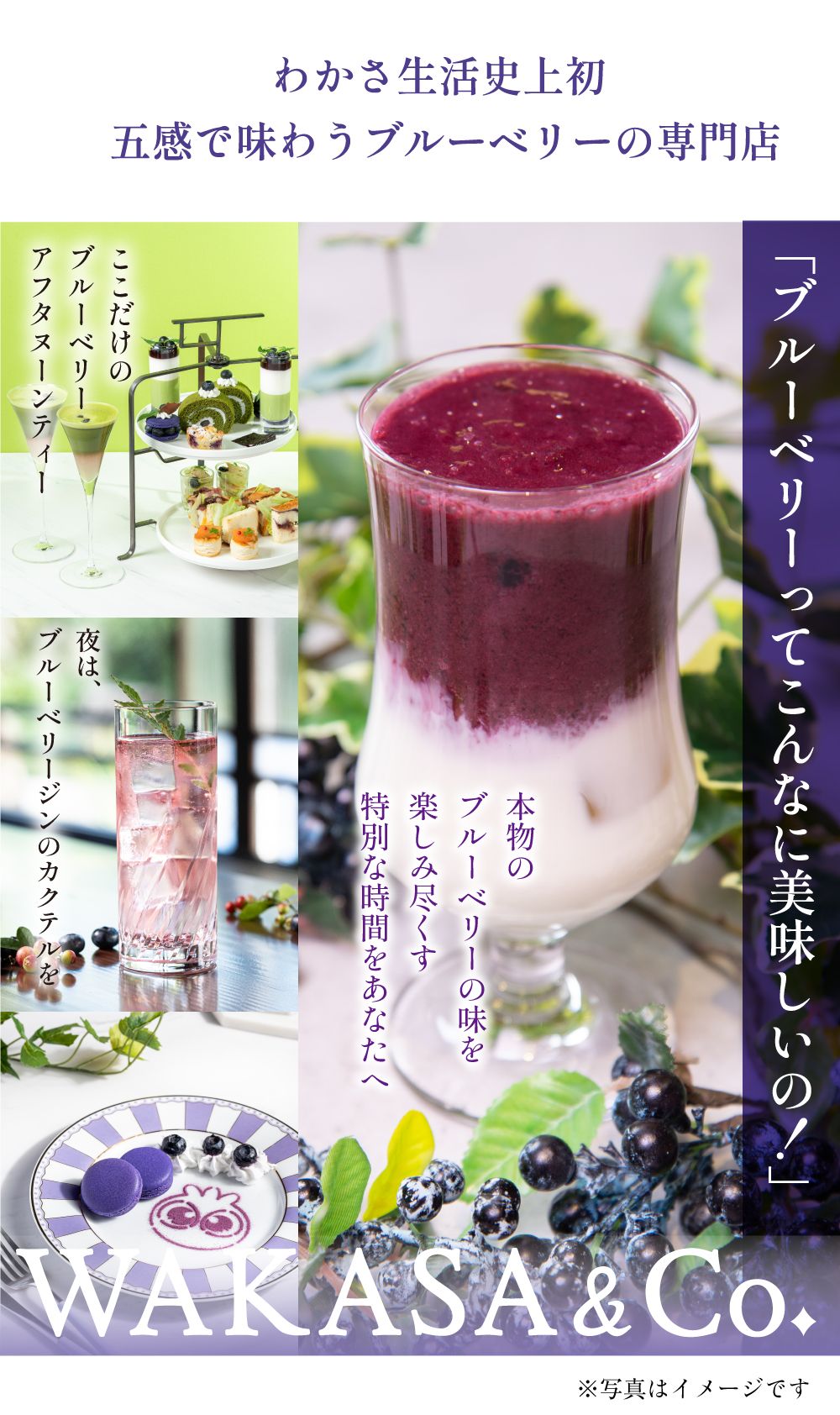 わかさ生活史上初。五感で味わうブルーベリーの専門店