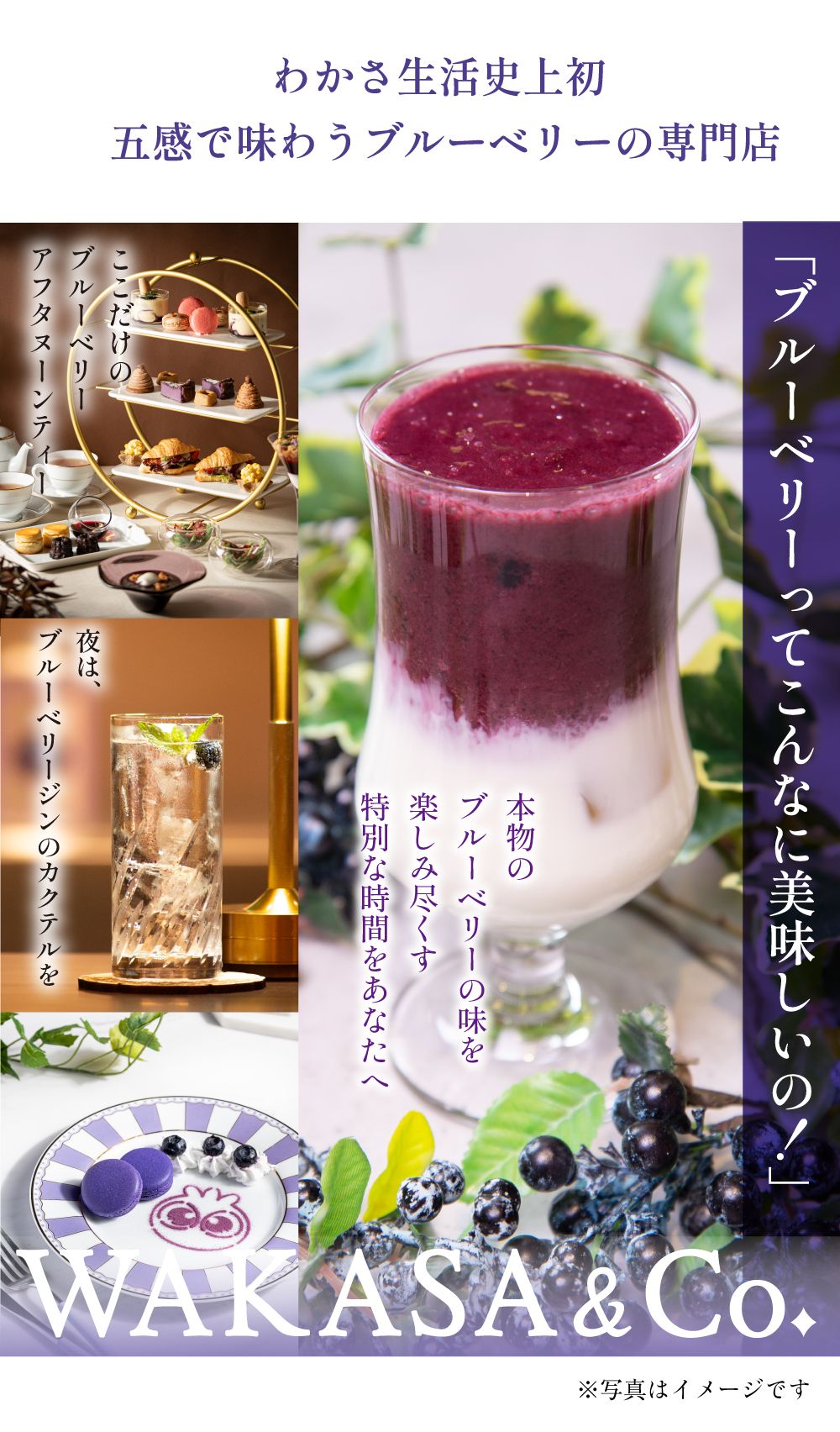わかさ生活史上初。五感で味わうブルーベリーの専門店