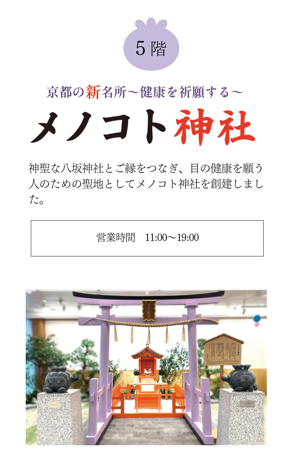 ５階。WAKASA&Co.メノコト神社