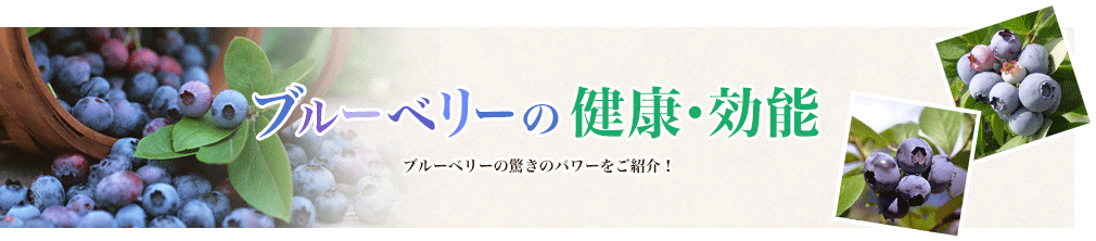 ブルーベリーの健康・効能