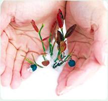 ビルベリーの冬