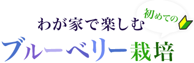 わが家で楽しむ 初めてのブルーベリー栽培