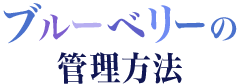 ブルーベリーの管理方法