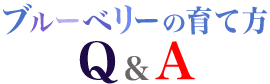 ブルーベリーの育て方Q&A