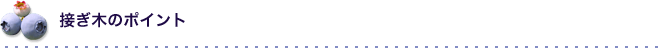 接ぎ木のポイント