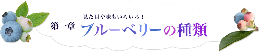 第一章 見た目や味もいろいろ！ ブルーベリーの種類