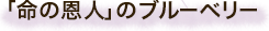 命の恩人 ブルーベリー