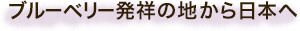 ブルーベリー発祥の地から日本へ