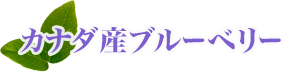 カナダ産ブルーベリー