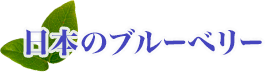 日本のブルーベリー