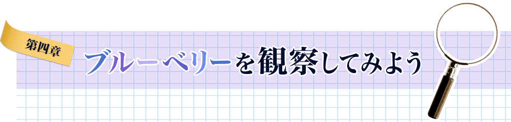 第四章 ブルーベリーを観察してみよう