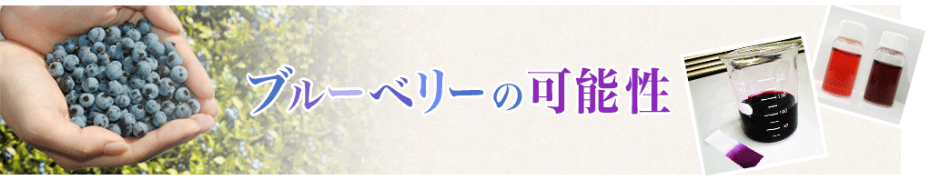 ブルーベリーの可能性