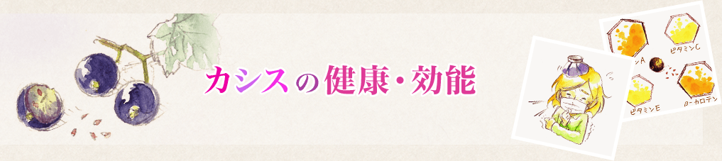 カシスの健康・効能