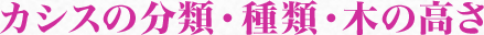 カシスの分類・種類・木の高さ