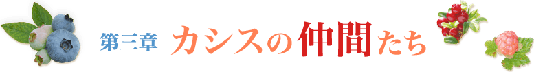 第三章 カシスの仲間たち