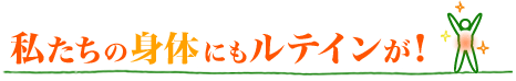 私たちの身体にもルテインが！