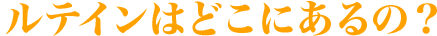 ルテインはどこにあるの？