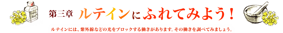第三章 ルテインにふれてみよう！ルテインには、紫外線などの光をブロックする働きがあります。その働きを調べてみましょう。