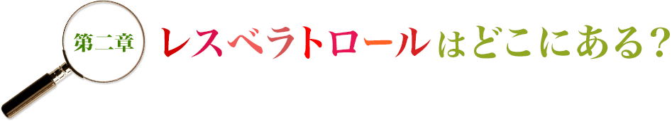 第二章 レスベラトロールはどこにある?