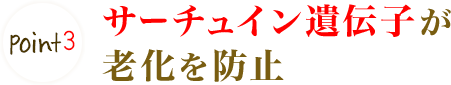 Point3 サーチュイン遺伝子が老化を防止
