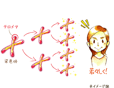 ※イメージ図