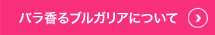 バラ香るブルガリアについて
