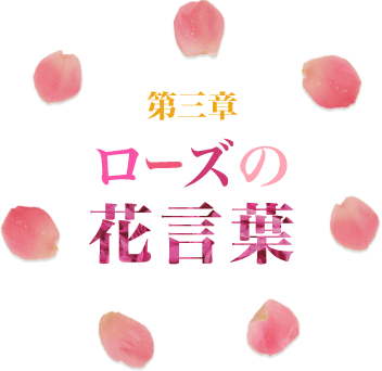 第三章 ローズの花言葉