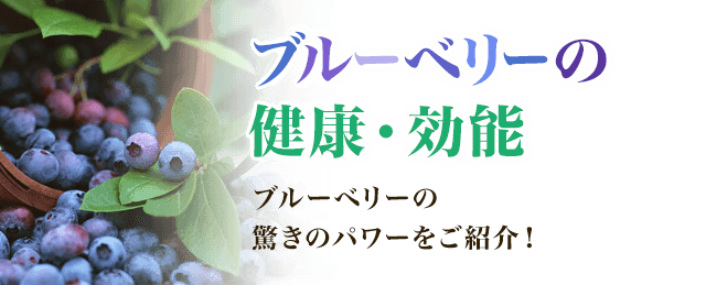 ブルーベリーの健康・効能 ブルーべリーの驚きのパワーをご紹介！