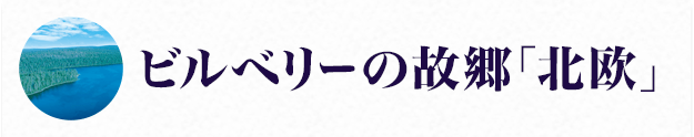 ビルベリーの故郷「北欧」