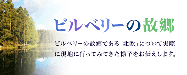 ビルベリーの故郷 ビルベリーの故郷である「北欧」について実際に現地に行ってみてきた様子をお伝えします。