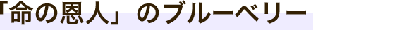 「命の恩人」のブルーベリー