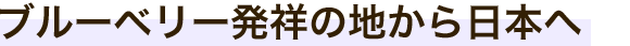ブルーベリー発祥の地から日本へ