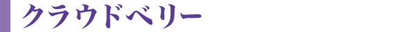 クラウドベリー