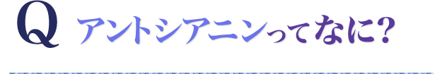 Q アントシアニンってなに?
