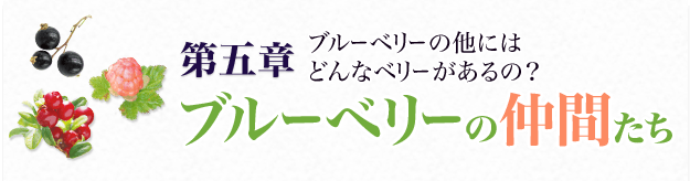 第五章 ブルーベリーの他にはどんなベリーがあるの?ブルーベリーの仲間たち