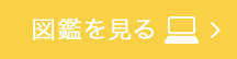 図鑑を見る
