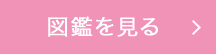 図鑑を見る