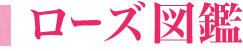 ローズ図鑑