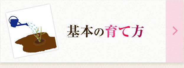 基本の育て方