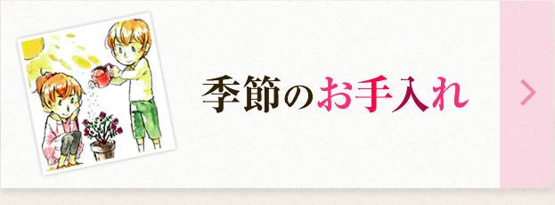 季節のお手入れ