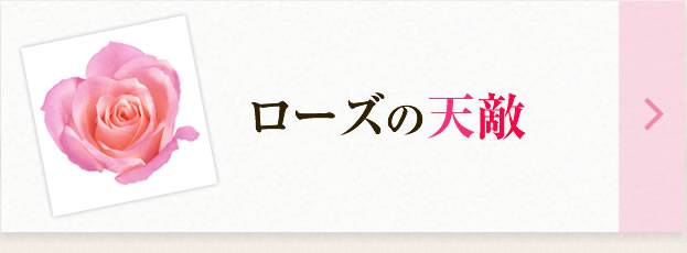 ローズの天敵