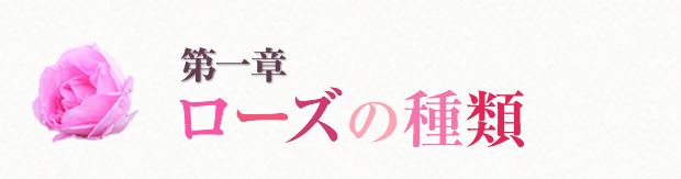 第一章 ローズの種類